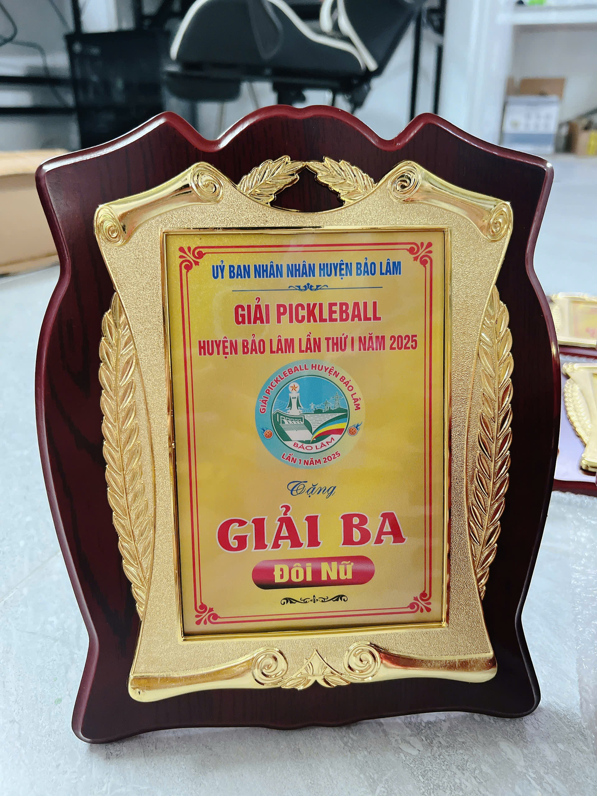 Kỷ Niệm Chương Gỗ 03